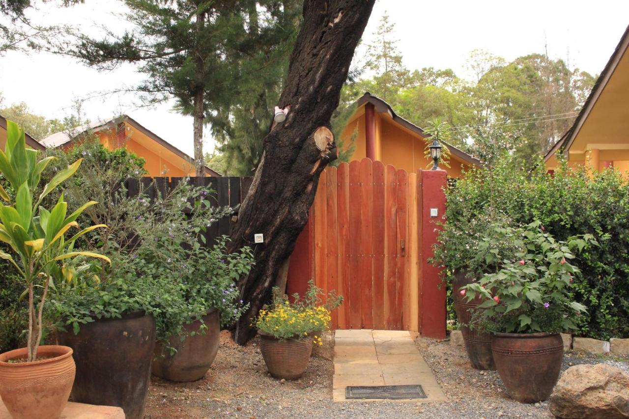 Le Rustique Hotel Nanyuki Kültér fotó
